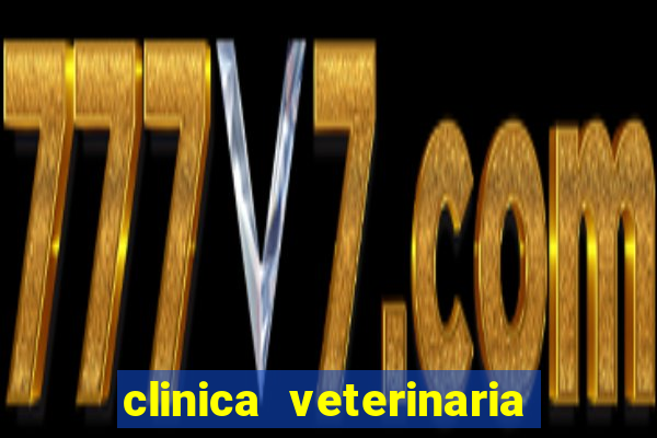 clinica veterinaria cuidar betim